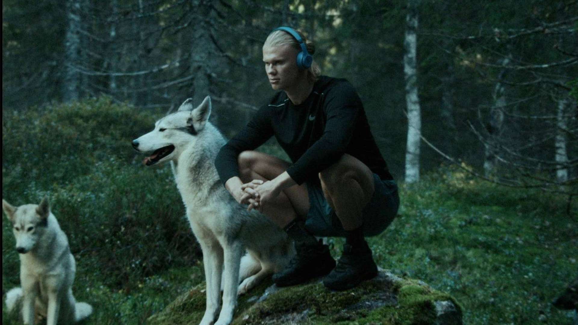 又一挑战 又一挑战