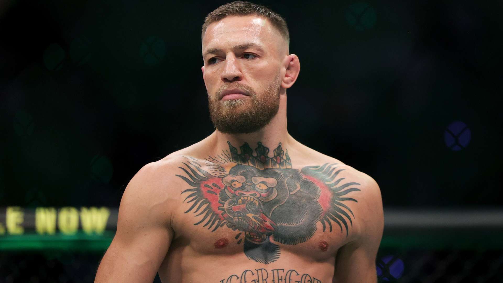 但也提供了 但也提供了