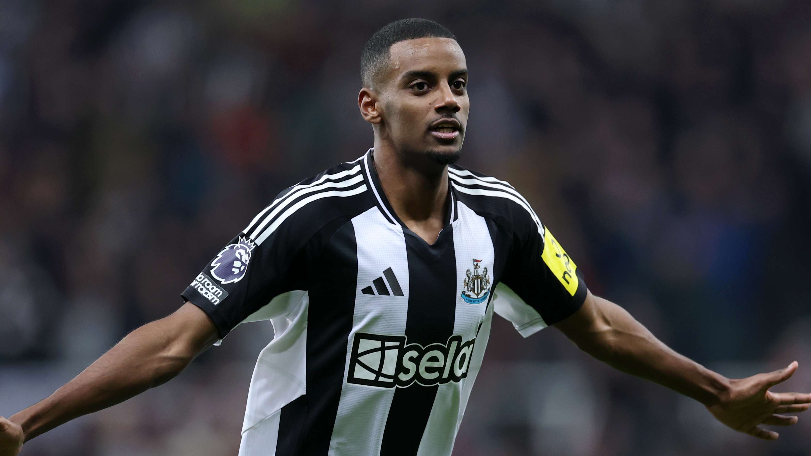 的成长历程 的成长历程